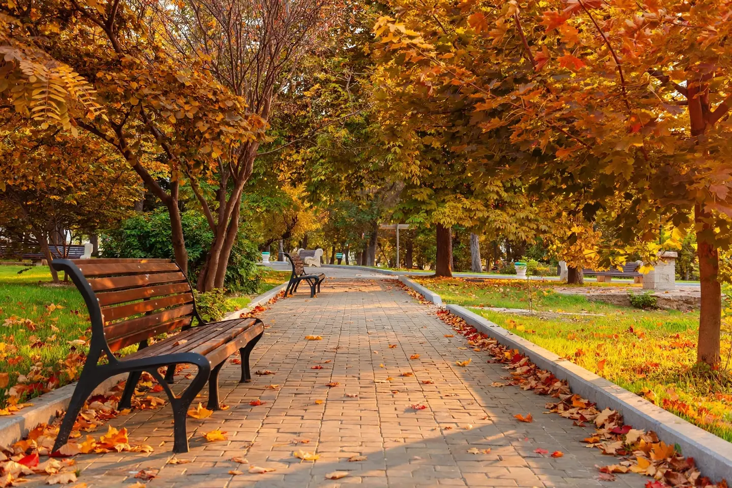 The same park path after the edit: the trees are orange, gold and red, fallen leaves line the path and the benches, and the light is warm