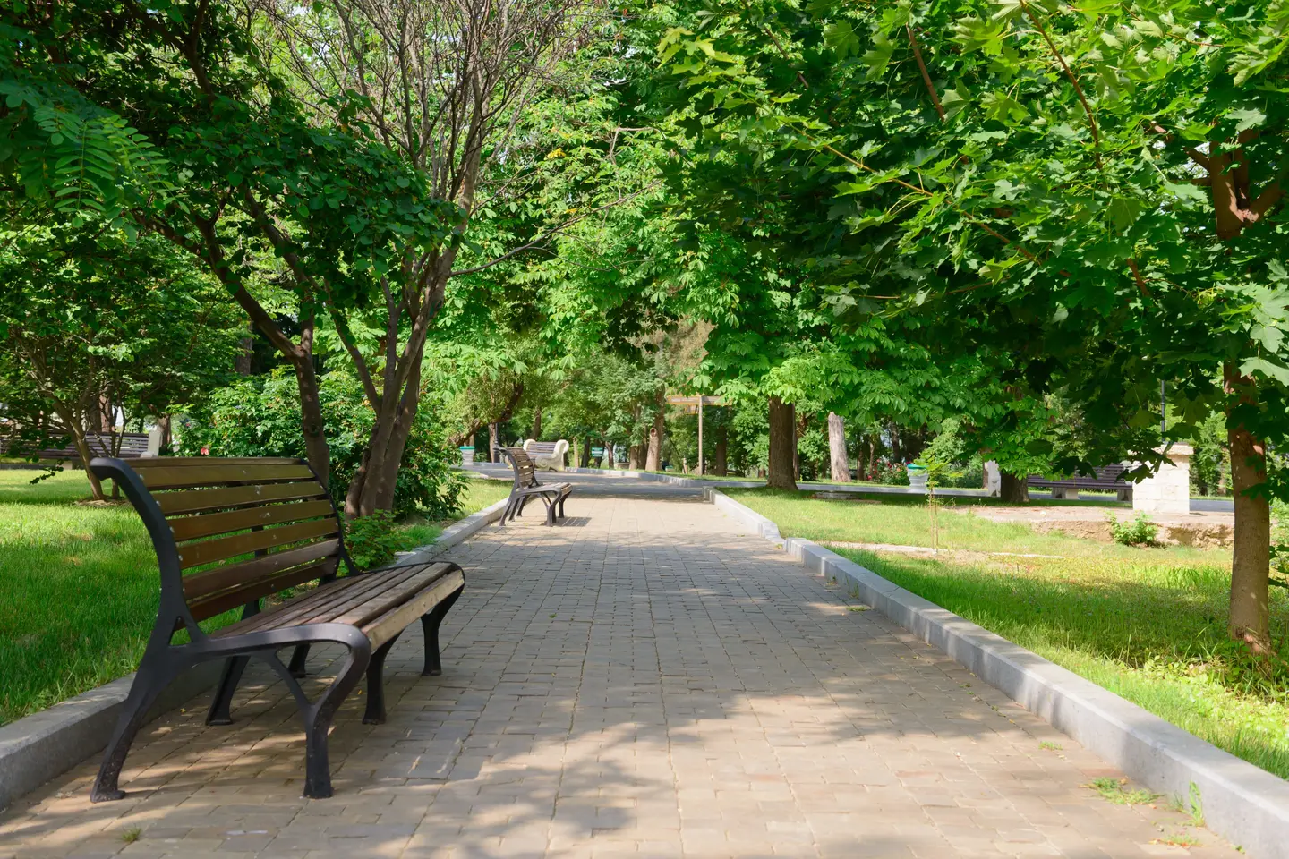 A paved park path lined with green trees and grass on a sunny summer day, with a wooden bench in the foreground and another further along