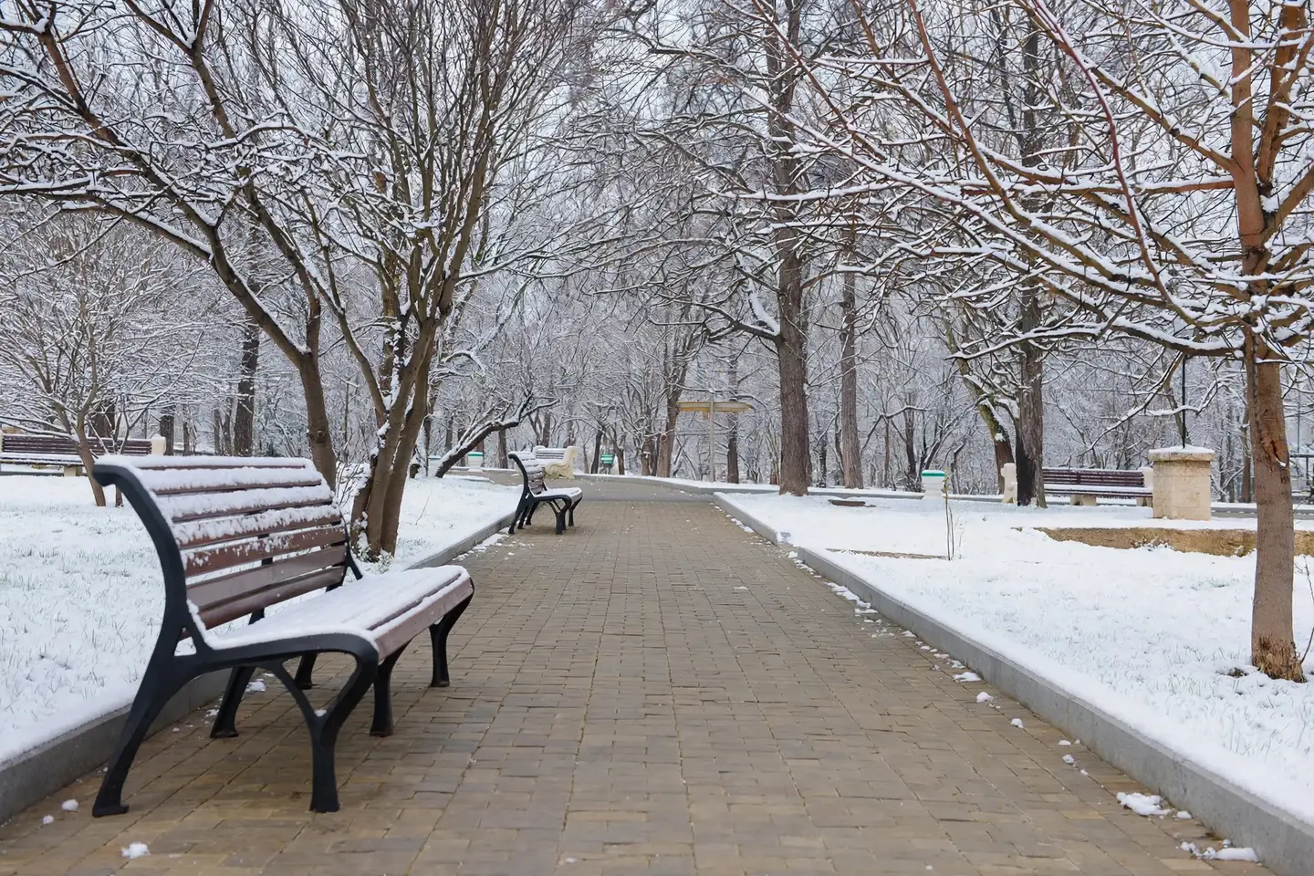 The same park path edited to winter: bare trees with snow on the branches, snow-covered lawns, snow on the benches and a cleared paved path